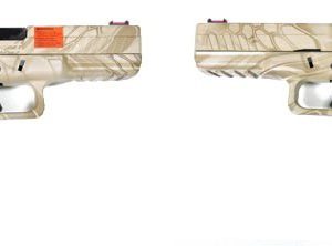 glock17 tan et desert