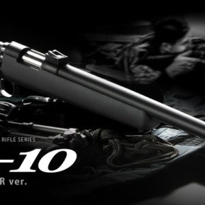 fusil de sniper vsr10