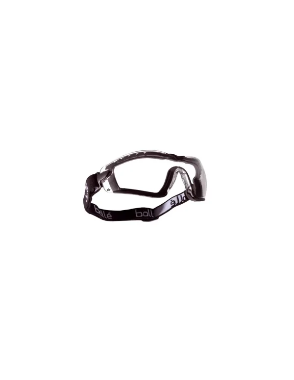 masque de protection bollé cobra